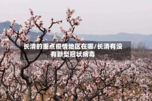 长清的重点疫情地区在哪/长清有没有新型冠状病毒