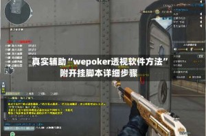 真实辅助“wepoker透视软件方法”附开挂脚本详细步骤