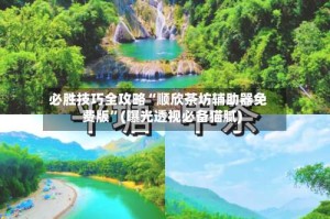 必胜技巧全攻略“顺欣茶坊辅助器免费版”(曝光透视必备猫腻)