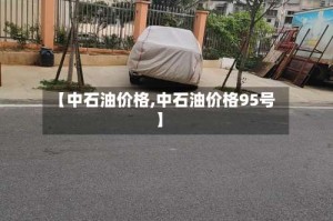 【中石油价格,中石油价格95号】