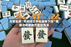 分享实测“和和呼兰手机麻将下挂”揭秘透视辅助万能挂用法