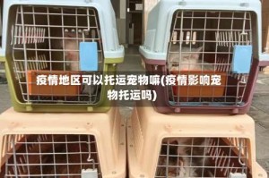 疫情地区可以托运宠物嘛(疫情影响宠物托运吗)