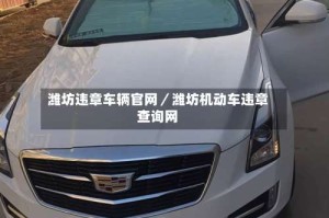 潍坊违章车辆官网／潍坊机动车违章查询网