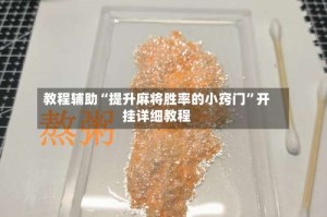 教程辅助“提升麻将胜率的小窍门”开挂详细教程