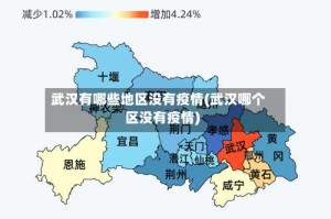 武汉有哪些地区没有疫情(武汉哪个区没有疫情)