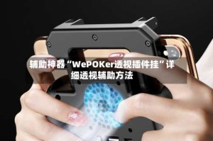 辅助神器“WePOKer透视插件挂”详细透视辅助方法