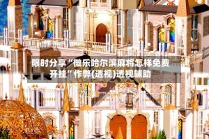 限时分享“微乐哈尔滨麻将怎样免费开挂”作弊(透视)透视辅助