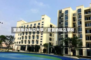 宜昌新办私立大学／宜昌的私立学校