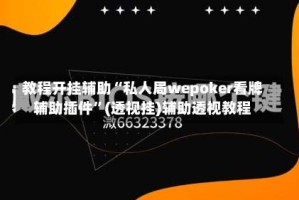 教程开挂辅助“私人局wepoker看牌辅助插件”(透视挂)辅助透视教程