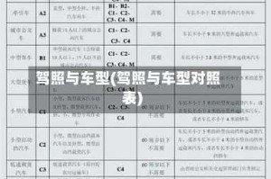 驾照与车型(驾照与车型对照表)