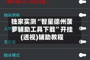 独家实测“智星德州菠萝辅助工具下载”开挂(透视)辅助教程