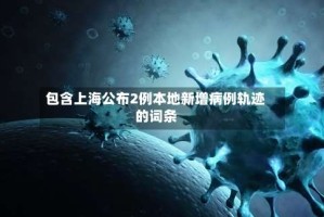 包含上海公布2例本地新增病例轨迹的词条