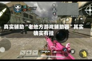 真实辅助“老地方游戏辅助器”其实确实有挂