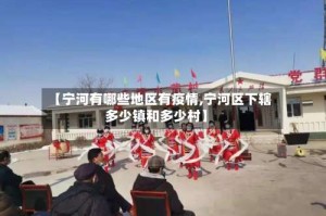 【宁河有哪些地区有疫情,宁河区下辖多少镇和多少村】