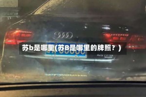 苏b是哪里(苏B是哪里的牌照？)