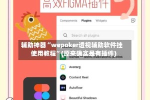 辅助神器“wepoker透视辅助软件挂使用教程”(原来确实是有插件)