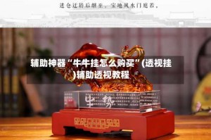 辅助神器“牛牛挂怎么购买”(透视挂)辅助透视教程