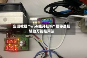 实测教程“wpk能开挂吗”揭秘透视辅助万能挂用法
