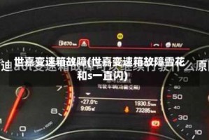 世嘉变速箱故障(世嘉变速箱故障雪花和s一直闪)