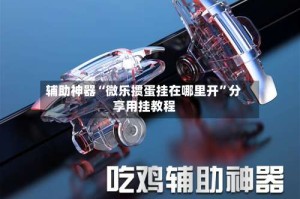 辅助神器“微乐掼蛋挂在哪里开”分享用挂教程
