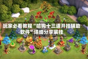 玩家必看教程“哈狗十三道开挂辅助软件”详细分享装挂