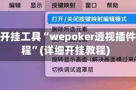 辅助开挂工具“wepoker透视插件教程”(详细开挂教程)