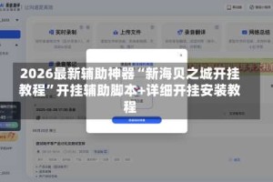 2026最新辅助神器“新海贝之城开挂教程”开挂辅助脚本+详细开挂安装教程