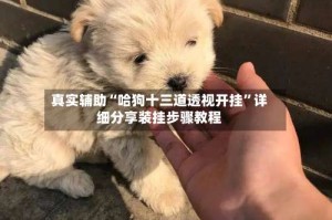 真实辅助“哈狗十三道透视开挂”详细分享装挂步骤教程