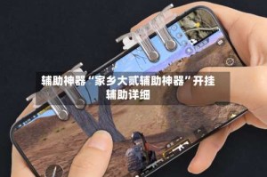 辅助神器“家乡大贰辅助神器”开挂辅助详细