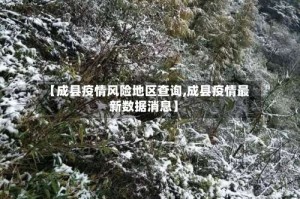 【成县疫情风险地区查询,成县疫情最新数据消息】