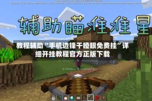 教程辅助“手机边锋干瞪眼免费挂”详细开挂教程官方正版下载