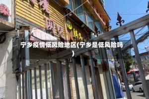 宁乡疫情低风险地区(宁乡是低风险吗)
