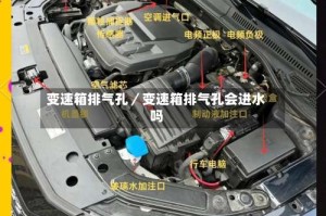 变速箱排气孔／变速箱排气孔会进水吗