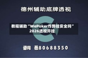 教程辅助“WePoker作弊挂安全吗”2026透视开挂