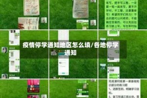 疫情停学通知地区怎么填/各地停学通知