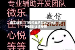 真实辅助“打微乐麻将怎么开挂的”开挂辅助详细步骤