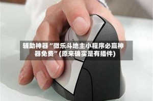 辅助神器“微乐斗地主小程序必赢神器免费”(原来确实是有插件)