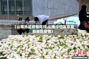 【山南地区疫情防控,山南今日发布最新新冠疫情】