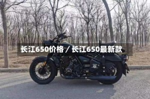 长江650价格／长江650最新款