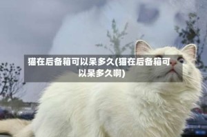 猫在后备箱可以呆多久(猫在后备箱可以呆多久啊)