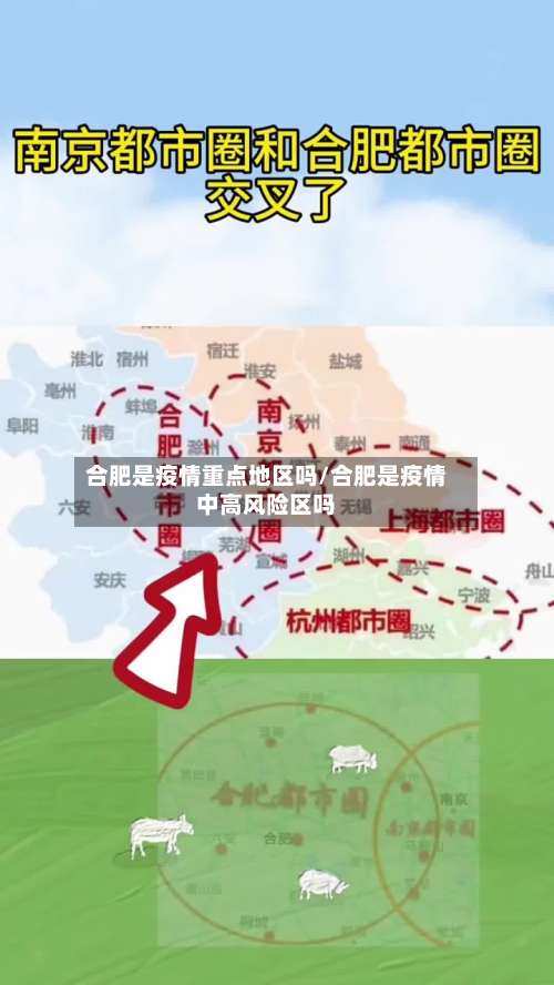 合肥是疫情重点地区吗/合肥是疫情中高风险区吗-第3张图片