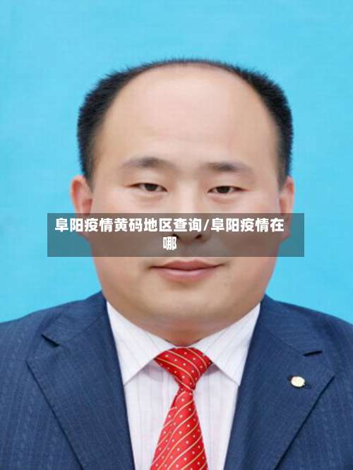 阜阳疫情黄码地区查询/阜阳疫情在哪-第2张图片