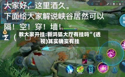 教大家开挂:新鸿狐大厅有挂吗	”(透视)其实确实有挂-第2张图片