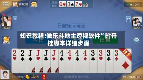 知识教程!微乐斗地主透视软件”附开挂脚本详细步骤-第1张图片