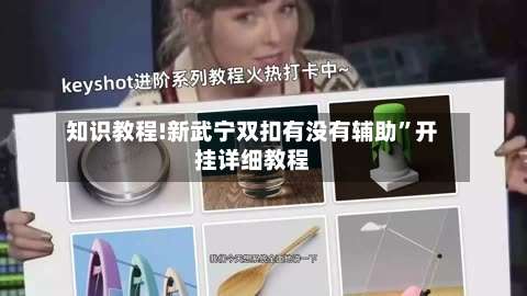 知识教程!新武宁双扣有没有辅助	”开挂详细教程-第2张图片