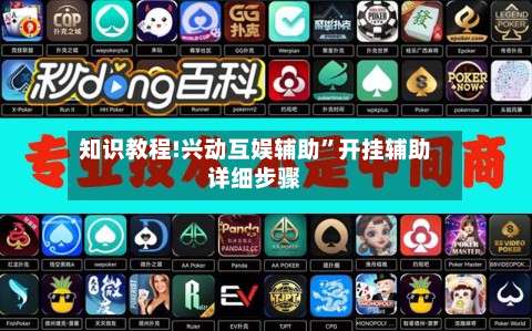 知识教程!兴动互娱辅助”开挂辅助详细步骤-第3张图片