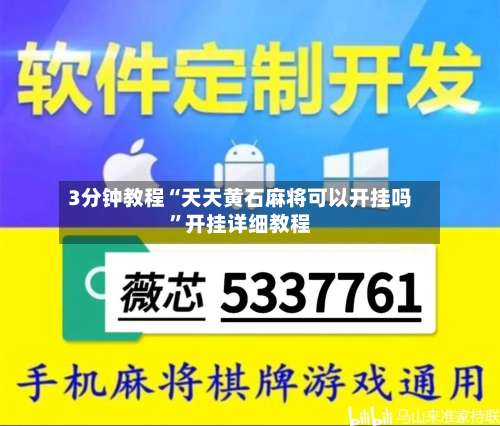 3分钟教程“天天黄石麻将可以开挂吗”开挂详细教程-第3张图片