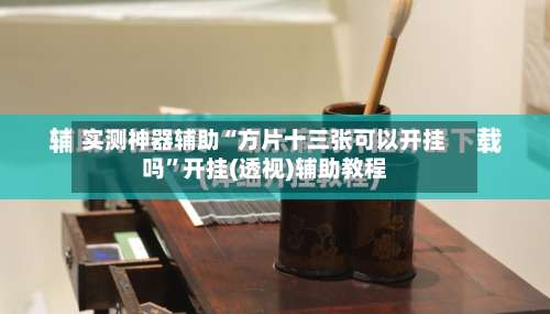 实测神器辅助“方片十三张可以开挂吗”开挂(透视)辅助教程-第3张图片