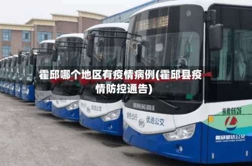 霍邱哪个地区有疫情病例(霍邱县疫情防控通告)-第3张图片