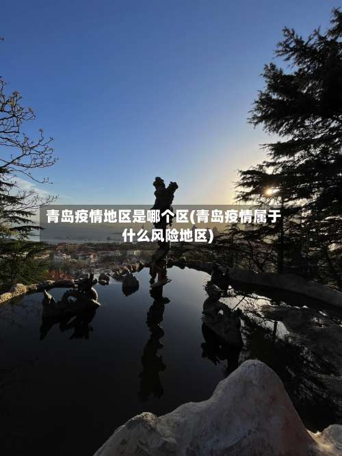青岛疫情地区是哪个区(青岛疫情属于什么风险地区)-第1张图片